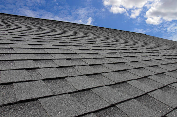 Capitol View, SC Roofing service Company